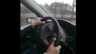 Уроки вождения новосибирск Уроки вождения новосибирск