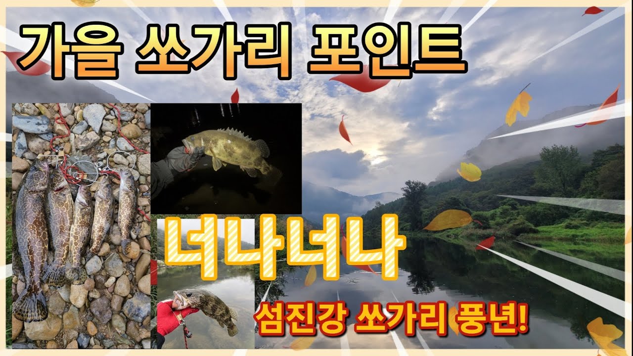 섬진강 쏘가리 포인트 공개! 가을 포인트 공략 지점은 어디?