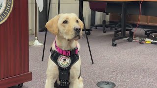 Meet Lake County's newest cyber crimes K9 investigator