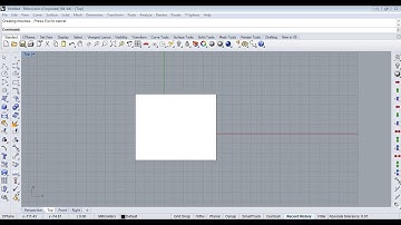 Picture Frame not showing in Rhino-5 | Picture not Showing in Rhino