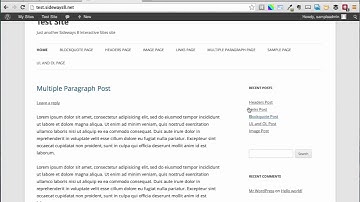 WordPress Training -  working with Widgets