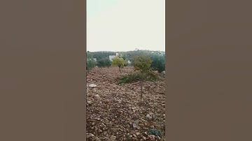 #تلاوة_خاشعة #تلاوة_هادئة #إسلام_صبحي #خواتيم_سورة_المؤمنون