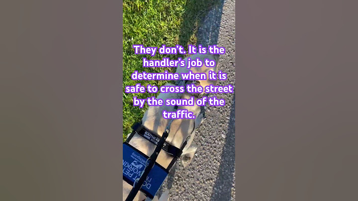 How do guide dogs know when to cross the street?
