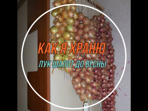 Как я храню