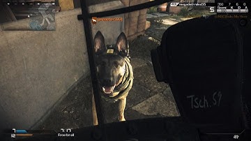 Dog vs Riot Shield (GHOSTS)