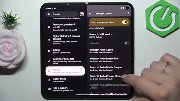 How to Open Developer Options on GOOGLE Pixel 9 Pro Fold