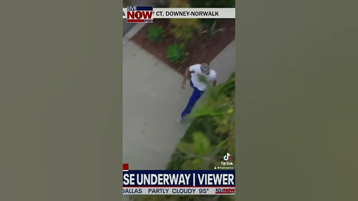 LA stolen-car chase ends with foot pursuit arrest and taser