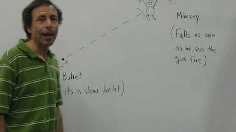 Ch04 Falling Monkey Part 1 (Physics, projectile motion by halverscience)
