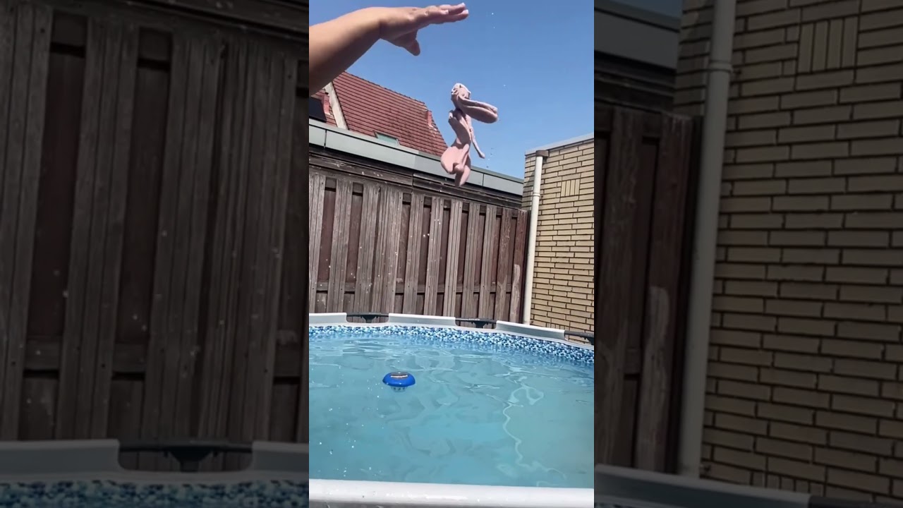 Flap geniet Lekker van de zomer  