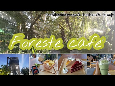 "Foreste ​cafe" (ฟอเรสเต้)​ คาเฟ่กลางธรรมชาติ​ย่านปากเกร็ด นนทบุรี​ l Sunny​ ontour​