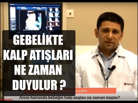 anne karninda bebegin kalp atislari ne zaman baslar youtube