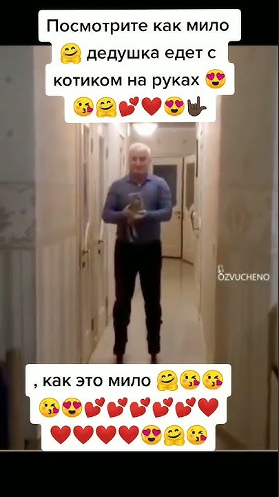 Что стало с киселечком котом из мема