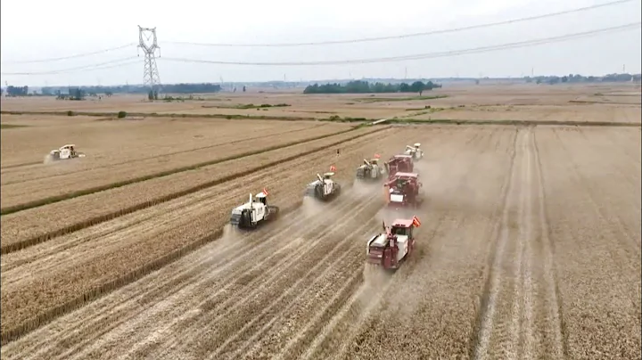 Summer harvest season begins across China - DayDayNews