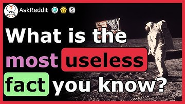 What is the most USELESS fact you know?