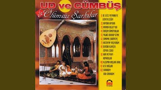 Bu Gece Meyhaneye Gitmeyeceğim