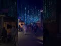 Christmas Night Lights | Dollywood  #dollywood #amusementpark #themepark #christmas