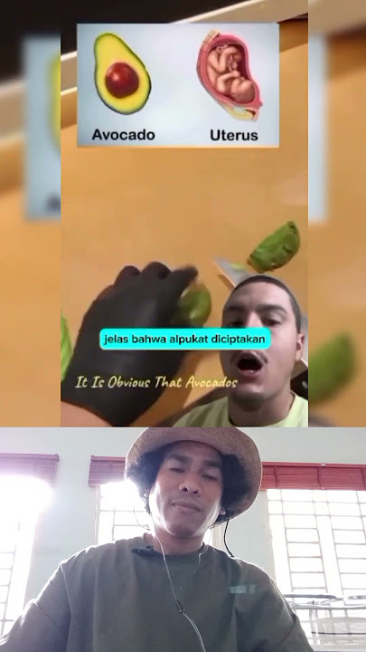 Alpukat membuktikan bahwa Tuhan itu ada  #YesusTuhan