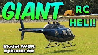 GIANT RC Helicopter! Vario 1/4 scale Bell 206 Jet Ranger  Model AV8R's And Their Models No. 8