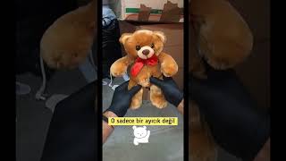 O Sadece Bir Ayicik Degil