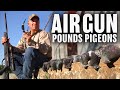 Hunting With GAMO Air Rifles | Air Warren