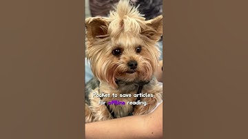 Best 3 Productivity Apps for 2025!