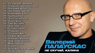 ЛУЧШИЕ ПЕСНИ ВАЛЕРИЙ ПАЛАУСКАС 2022   2023    THE BEST SONGS