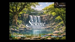 Manevi Yakarış - Sekine Duası Manası