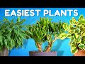 10 Unkillable Plants You Need in Your Home