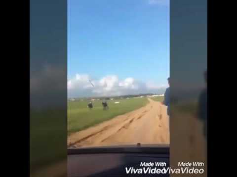 اه حبايب مهداه للاخ ابو رايد كايد الاطرش بمناسبه فوزه بسباق الخيل بنت المختار علا فرص ابراهيم كمال