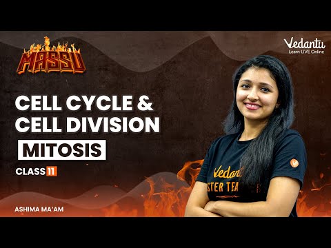Cell Cycle &