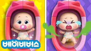 아기 동생 돌보기 송 | + 돌보기 모음집 |  Kids Song | 베이비버스 인기동요 | BabyBus
