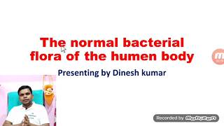 The Normal Bacterial flora of the human body(microbiology)