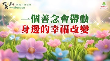 一個善念會帶動身邊的幸福改變｜太陽盛德導師–超級生命密碼網路共修精華