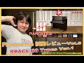 Pianoverse 試奏レビューVol.5 SPACE 30 Types Ver.1【井桁学のギターワークショップYouTube編Vol.262 】