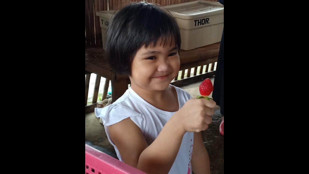 Strawberries Sky Farm, Sergio Osmeña Sr., Zamboanga del Norte