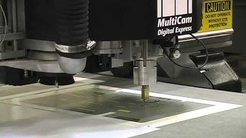 Digital Express Cutting Adhesive-Backed Graphics
