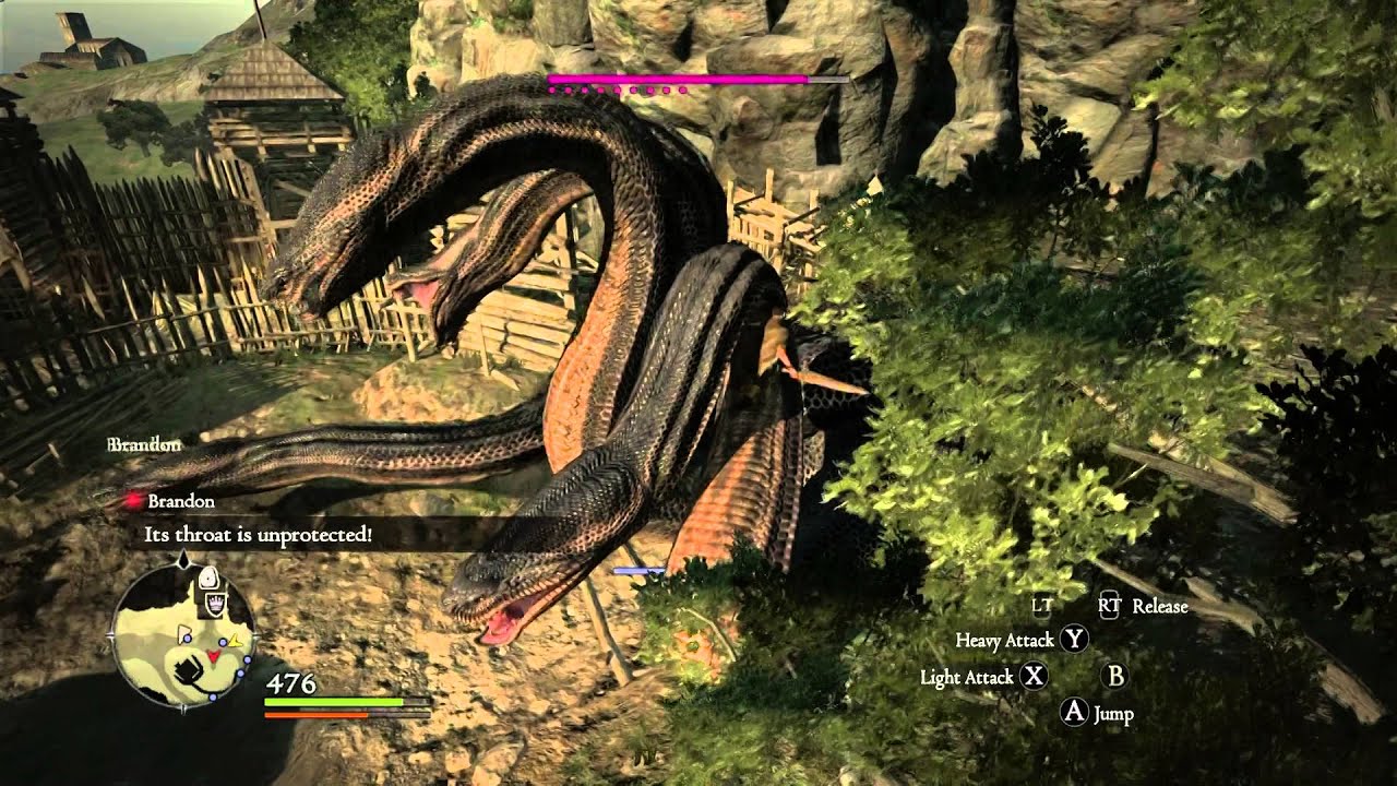 Dragons dogma донат