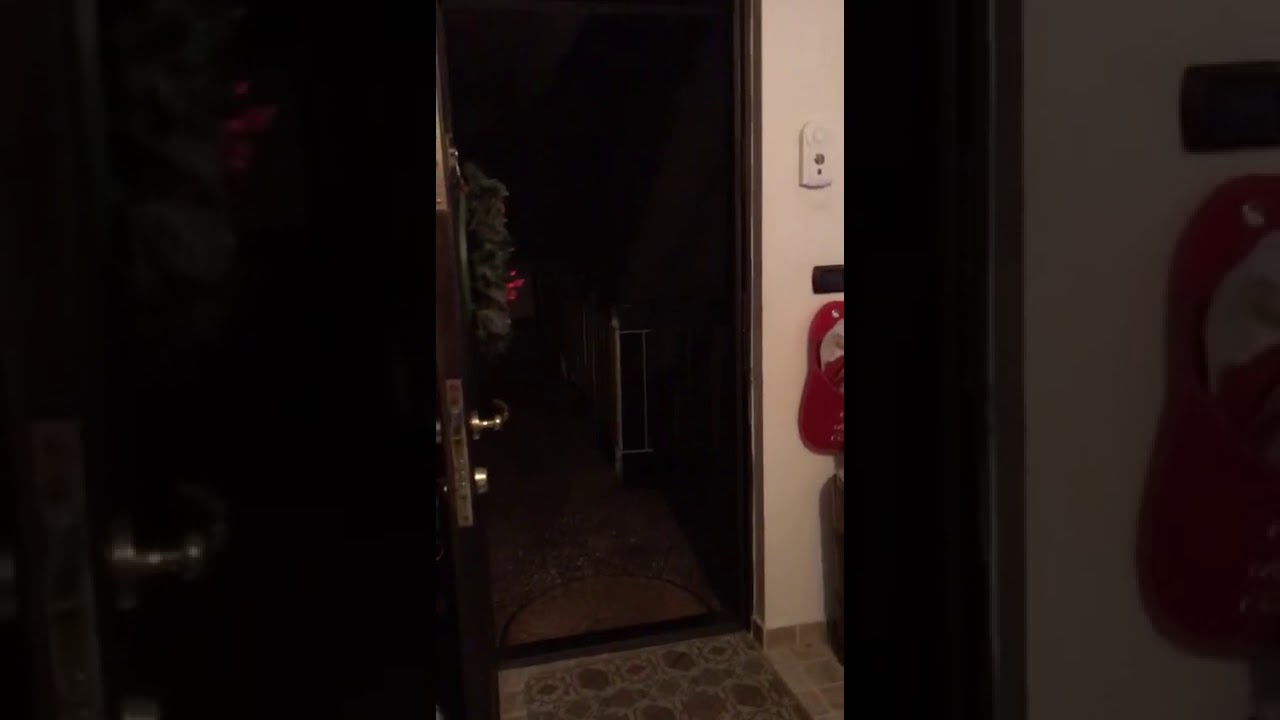 Ursul de la Piatra Neamț!