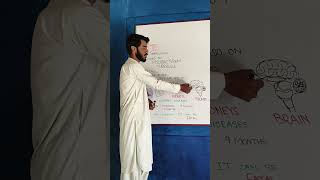 TB || Tuberculosis || Lungs Disorders || Treatment  || Excretory system Disease || Urdu/Hindi