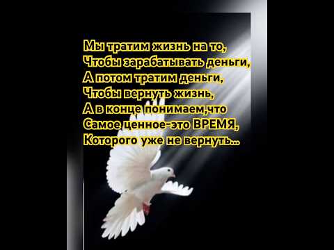 «Мы тратим жизнь на то,…..»