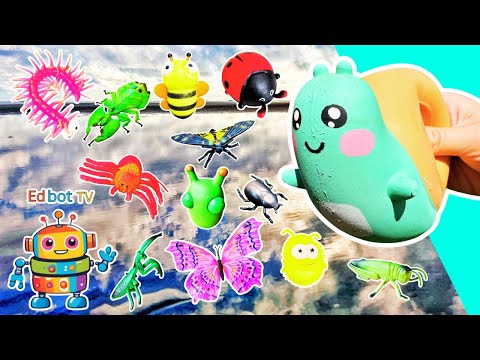 Kids Learn | Bug Insect Names at the Beach: Snail Beetle Caterpillar Leaf Insect Bee Grasshopper