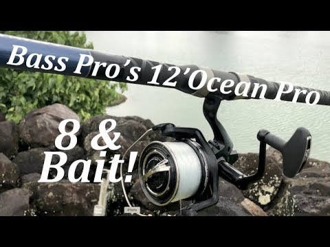 8 & Bait Bass Pro's 12' Ocean Master Rod! 
