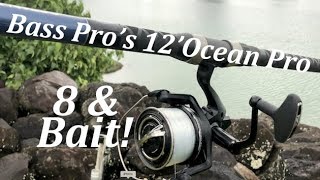 8 & Bait Bass Pro's 12' Ocean Master Rod!