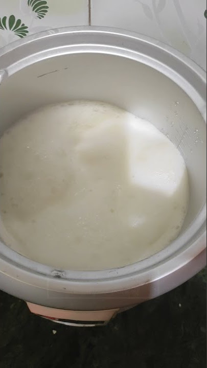 Travel friendly electric cooker| Boiling milk#Electric rice cooker recipe#shortsfeed #krishnaa's