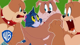 Tom & Jerry | Best of Spike | WB Kids