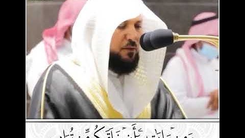 من روائع التلاوات : الشيخ/ ماهر المعيقلي - ما تسير من سورة الروم .