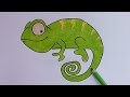 Dibujos Animado Camaleones