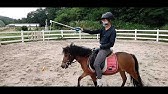 検証動画 馬の鼻先に人参をぶら下げる 試してみた Youtube 検証動画 馬の鼻先に人参をぶら下げる 試してみた Youtube
