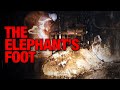 Corpse of Chernobyl: The Elephant's Foot