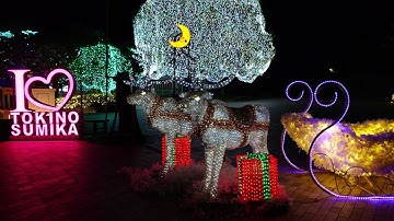 ＝RPI＝時之栖 イルミネーション 開園30周年記念！静岡【はままつフルーツパーク ときのすみか】貸切状態独占配信 TOKINO SUMIKA Hamamatsu Fruitpark in Japan